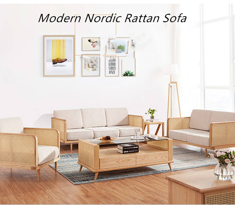 Modern Sofa RTS 01034 4